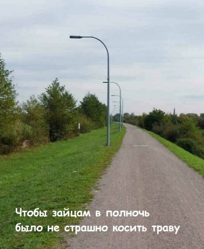 Чтобы зайцам в полночь было не страшно косить траву