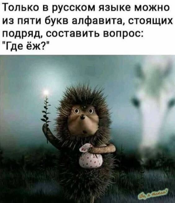Только в русском языке можно из пяти букв алфавита, стоящих подряд, составить вопрос: 