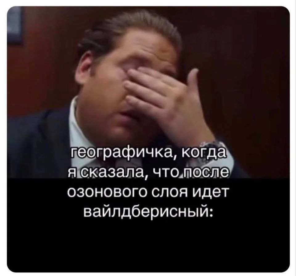 географичка, когда я сказала, что после озонового слоя идет вайльдберисный: