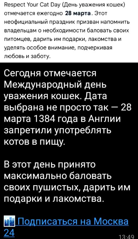 Respect Your Cat Day (День уважения кошек) отмечается ежегодно 28 марта. Этот неофициальный праздник призван напомнить владельцам о необходимости баловать своих питомцев, дарить им подарки, лакомства и уделять особое внимание, подчеркивая любовь и заботу.
Сегодня отмечается Международный день уважения кошек. Дата выбрана не просто так – 28 марта