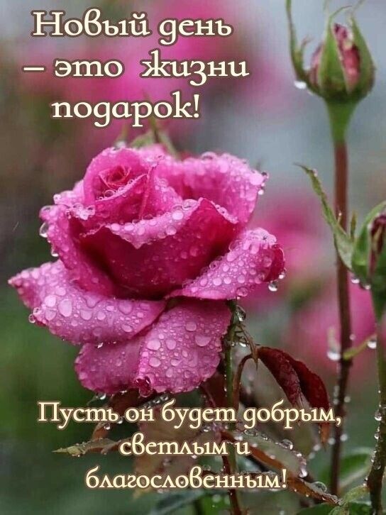 Ноъіі і 9с1 1ъ это 219131111 по9арр1с Пусть ой буяст9обрьщ сбспшым овсш Ё