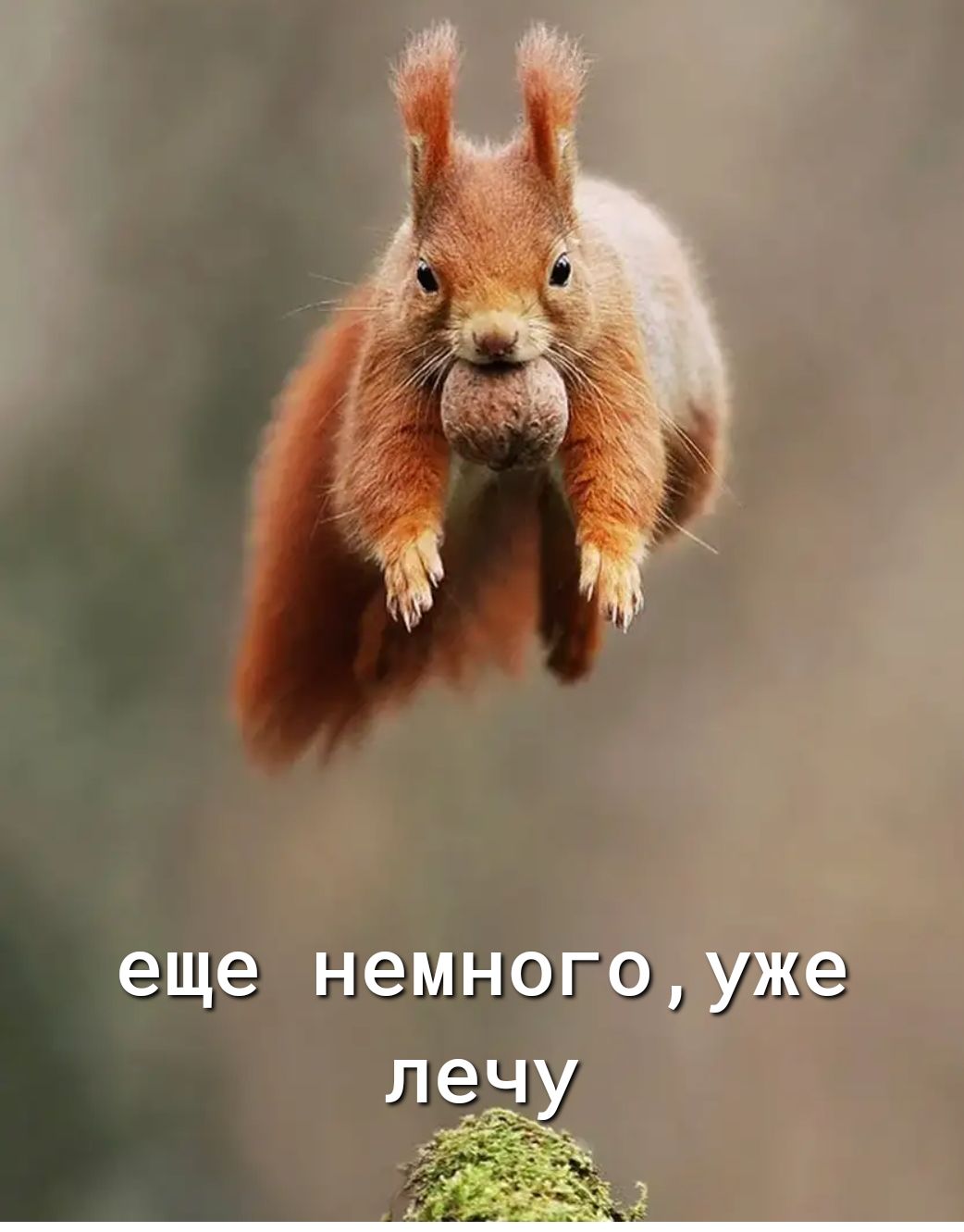 д намногэуЖд лезы