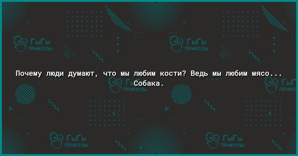 Почему люди думают что мы любим кости Ведь мы любим мясо Собака