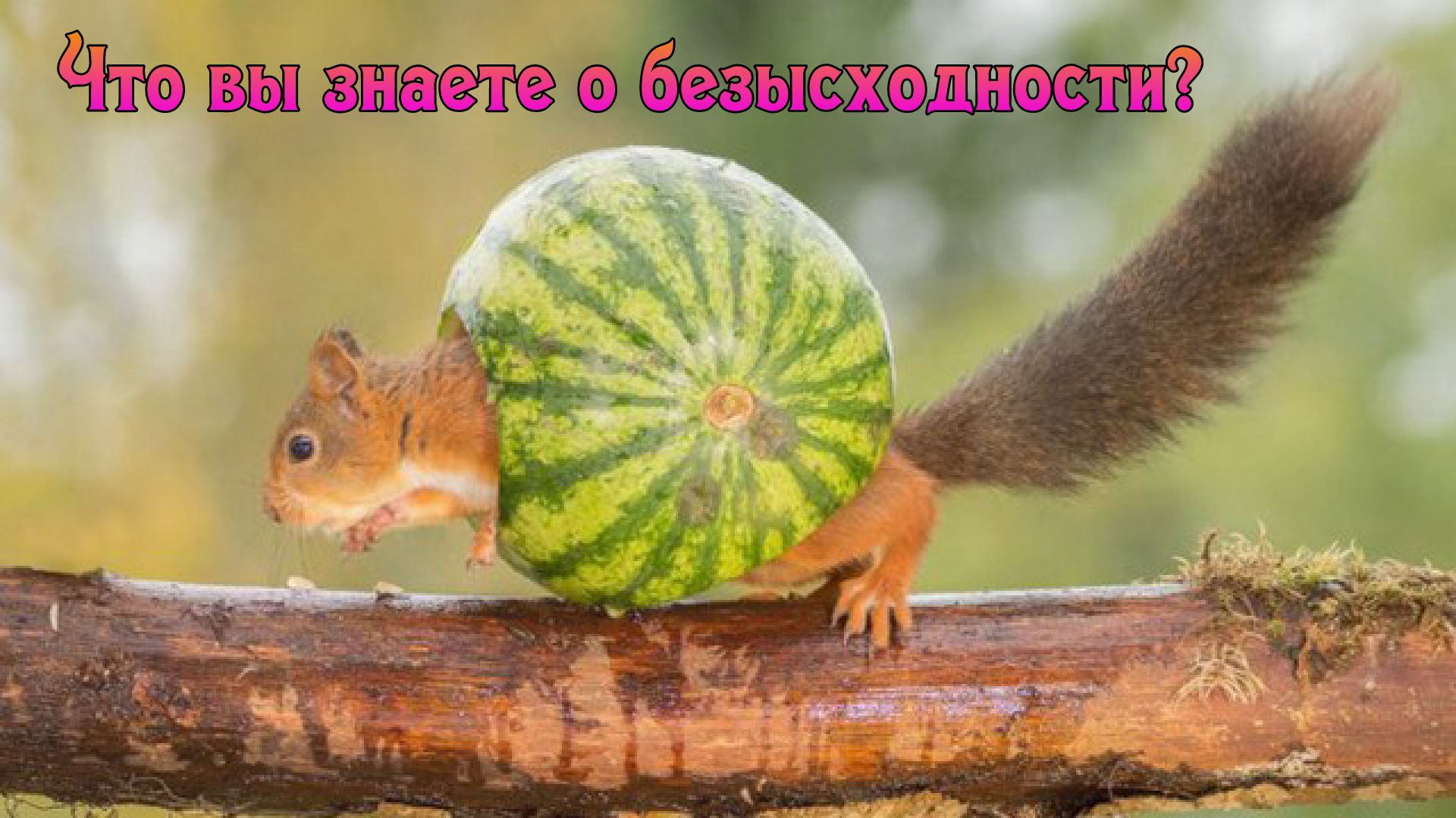 Ф1то ва апете  бзеежодтоети?