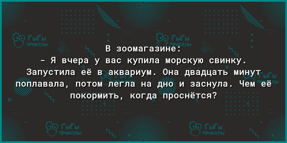 В зоомагазине Я вчера у вас купила морскую свинку Запустила её в аквариум Она двадцать минут поплавала потом легла на дно и заснула Чем её покормить когда проснётся