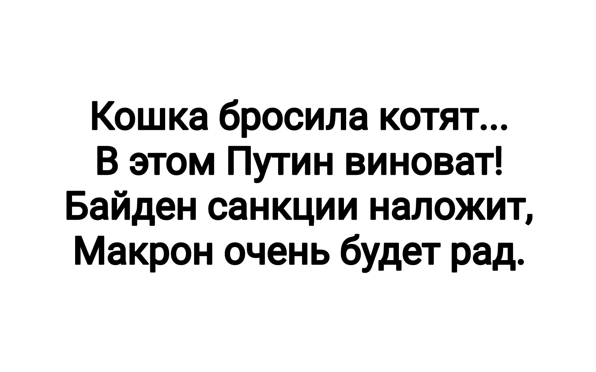 Кошка бросила котят В этом Путин виноват Байден санкции наложит Макрон очень будет рад