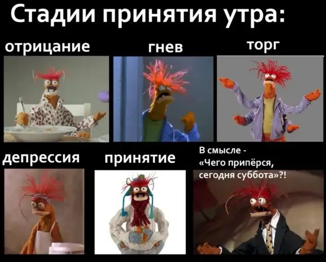 Стадии принятия утра отрицание В смысле депрессия принятие Чего припёрся сегодня суббот
