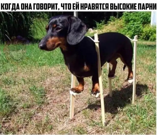 КПГ дА ПНА ГПВПРИТ ЧШ ЕЙ НРАВИТСЯ ВЫШКИЕ ПАРНИ