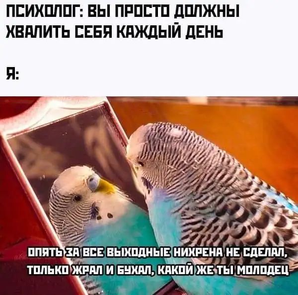 ПЕИХПЛПГ ВЫ ПРПЕТП дППЖНЫ ХВППИТЬ ЕЕЕП КАЖДЫЙ ЛЕНЬ