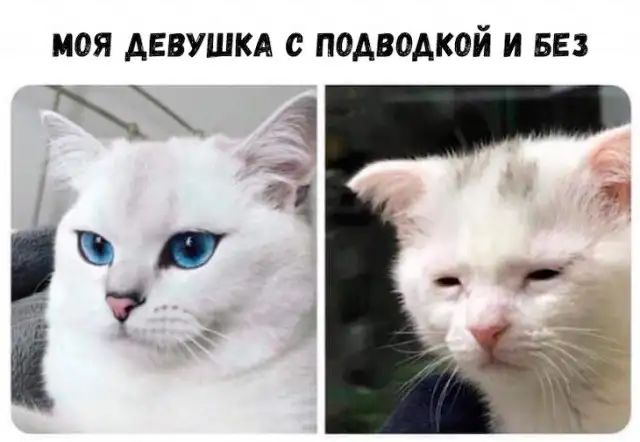 МОЯ АЕВУШКА С ПОДВОАКОЙ И БЕЗ