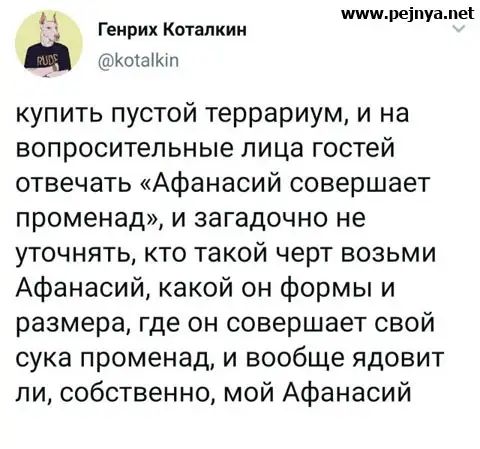 шимреіиуамы Генрих Котапкин КШЭМП купить пустой террариум и на вопросительные лица гостей отвечать Афанасий совершает променад и загадочно не уточнять кто такой черт возьми Афанасий какой он формы и размера где он совершает свой сука променад и вообще ядовит ли собственно мой Афанасий