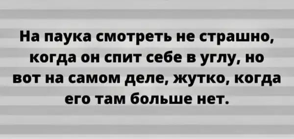 На паука смотреть не страшно когда он спит себе в углу но вот на самом деле жутко когда его там больше нет
