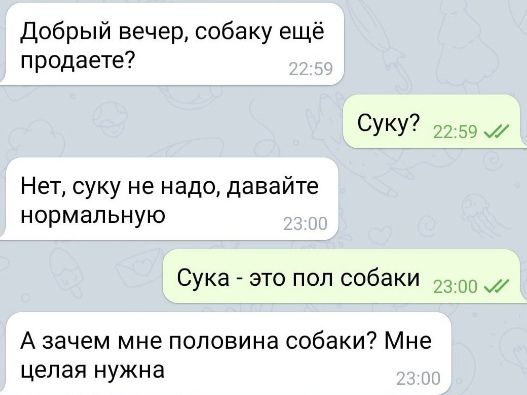 Добрый вечер собаку ещё продаете СУКУ7 2 5С Нет суку не надо давайте НОРМЗПЬНУЮ Сука это поп собаки 23 03 А зачем мне половина собаки Мне целая нужна