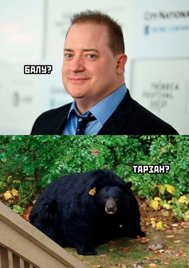 __ тдрёпйг 3