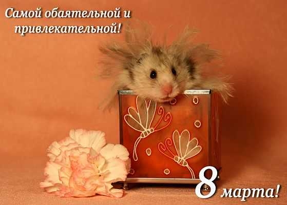 Самой обаятельной и привлекательной