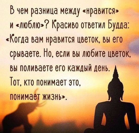Бчем разница между нравится и любто Красиво ответил Будда Когда вам нравится цветок вы его срываете Но если вы любите цветок вы поливаете его каждый день Тот кто понимает это понимает жизнь