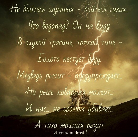 24 ТИХО МОіНИЯ даТ ук соттыдгоэш