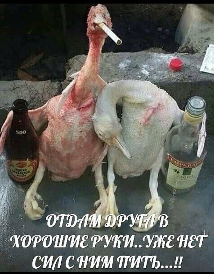 СЙЛ СЙЙМ ТЙГЬ