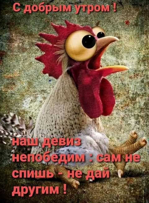 СПИШЬ л другдщм К