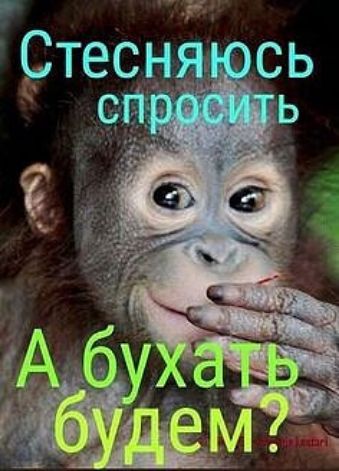 Стеенсь с 7