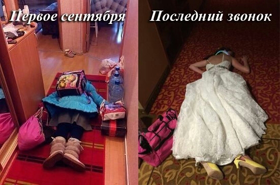 Последний гвакик