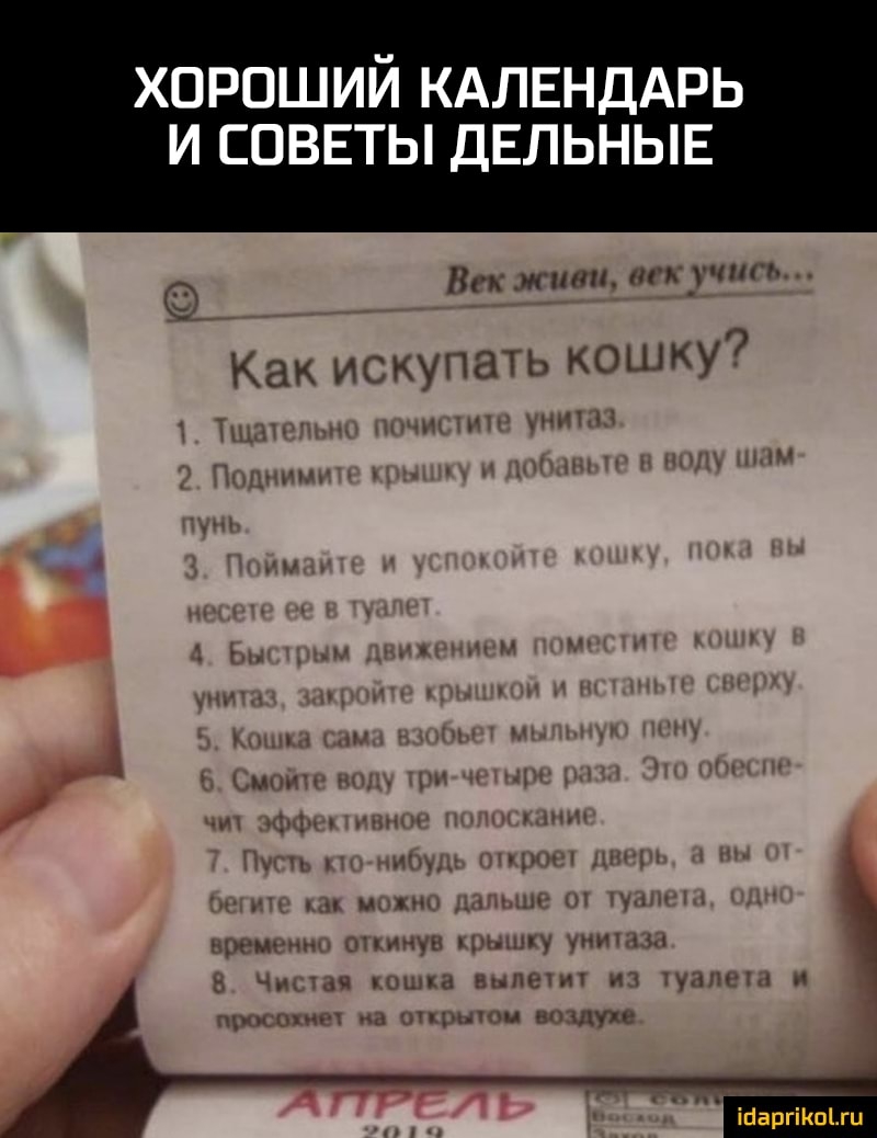 ХОРОШИЙ КАЛЕНДАРЬ И СОВЕТЫ ДЕЛЬНЫЕ В КНИП ПХ ПНЬ Как искупать кошку МЪН ги ъ Митинг ы и ни Мы п ч Им щ кмниш нид _ чм Акіміпс нш А п щ тиры 1 Мы млш ту и кре шт опинун цмшку унии В Чили вышка виде и чипы и ПИЮПН Ид пццппм Вііщуяе іпаргіЁоЫи