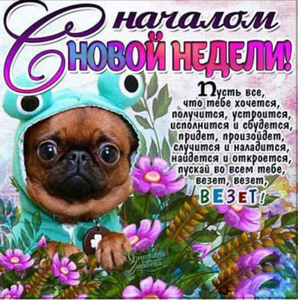 пу сть все что тебе хочется получится уст оптся ПСПОМШШЗЯ с удвтся придет произойдет случится п пиздатая ияиддтся п откроется пускай во асом тебе ведотрвезет