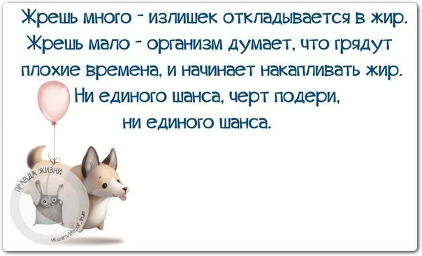 Жрешь много излишек откладывается в жир Жрешь мало организм думает что грядут плохие времена и начинает накапливать жир Ни единого шанса черт подери ни единого шанса