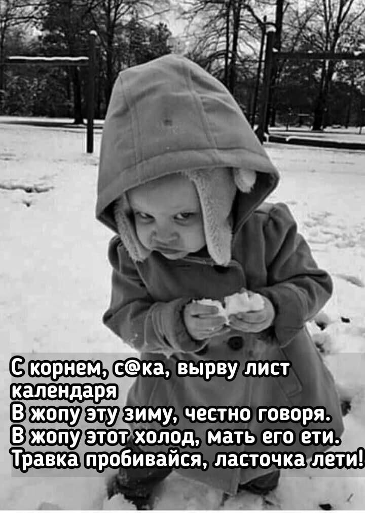 зиму честно говоря Ввиду этот холод мать его ети Травка пробивайся ласточка лети