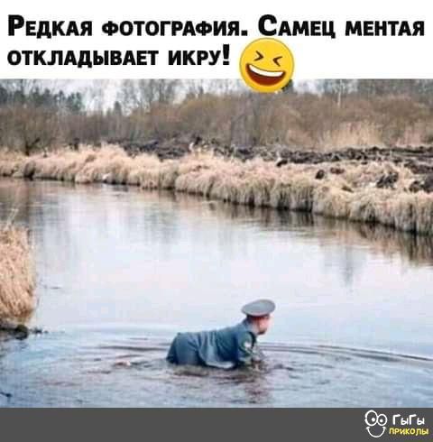 РЕДКАЯ Фотогиоия Сдмец МЕНТАЯ ОТКЛАДНВАП ИКРУ _
