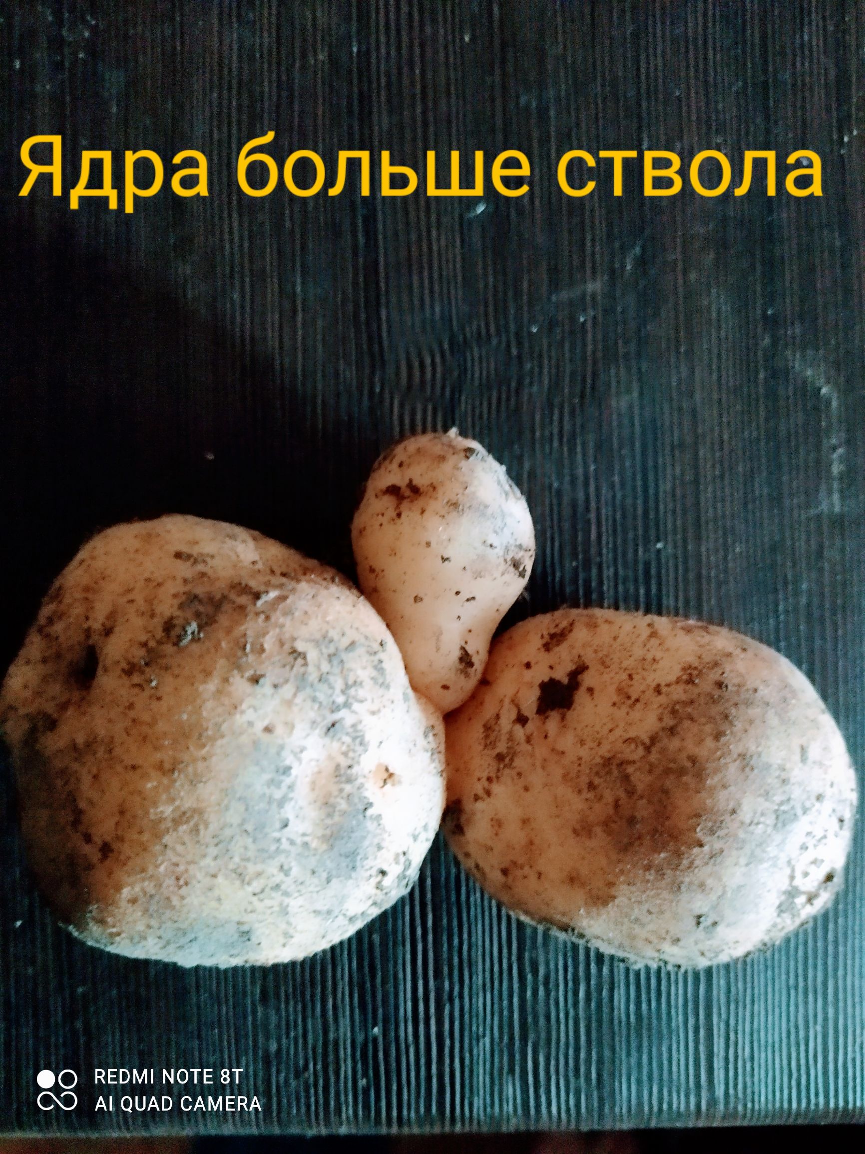 З Ядра больще стзОла ОО КЕОМ МОТЕ вт