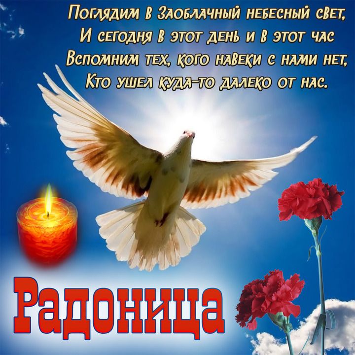8ЩЩШШЁ ШВЭЁЯДЕШШВПЧЩ ощпыщпвпшшшзг Ваг 01 Радоница 015