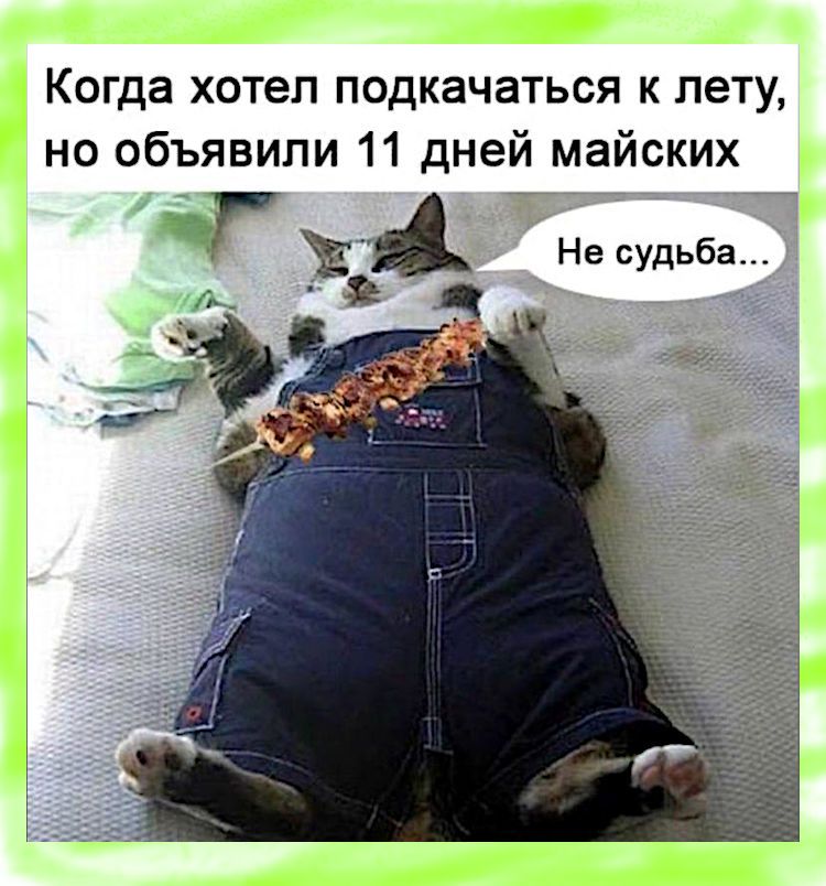 Когда хотел подкачаться к лету но объявили 11 дней майских