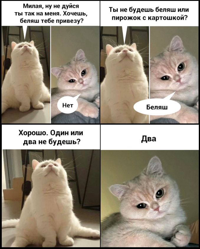 Милад иу не дуйся ты так и меня Хочешь беляш тебе привезу Хорошо Один или дня не будешь Ты не Будешь бцпиш или пирожпк кашиой