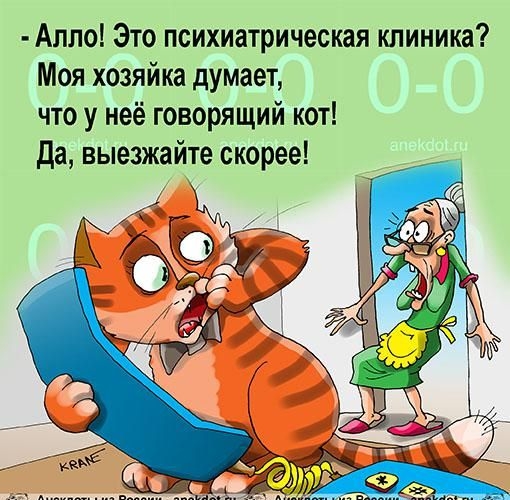 Алло Это психиатрическая клиника Моя хозяйка думает что у неё говорящий кот Да выезжайте скорее