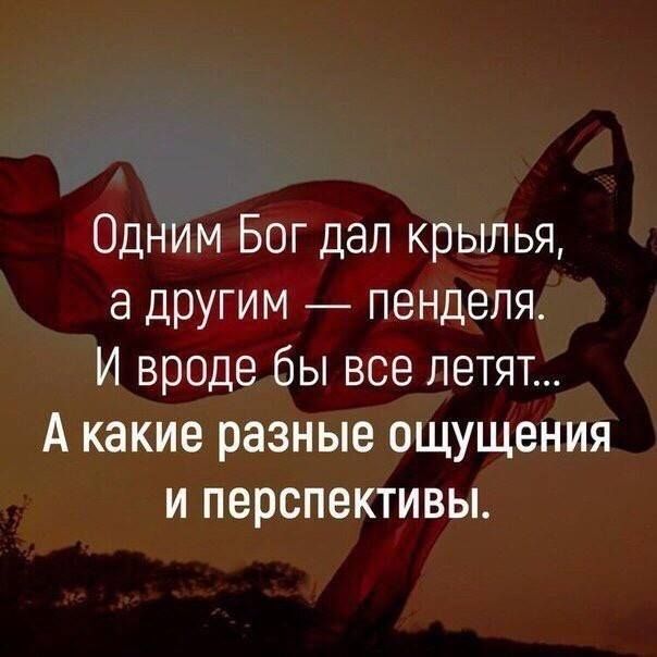 Одним Бог дал крылья а ЦРУГИМ пенделя И вроде бы все летят А какие разные ощущения и перспективы
