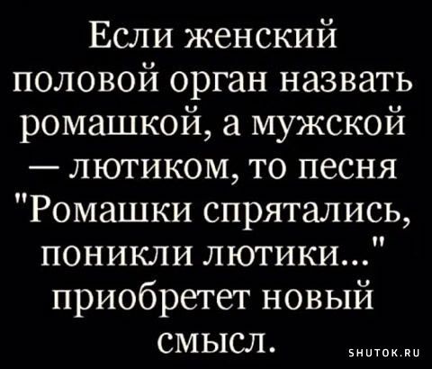 Если женский половой орган назвать ромашкой мужской лютиком то песня Ромашки спрятались поникли лютики приобретет новый смысл