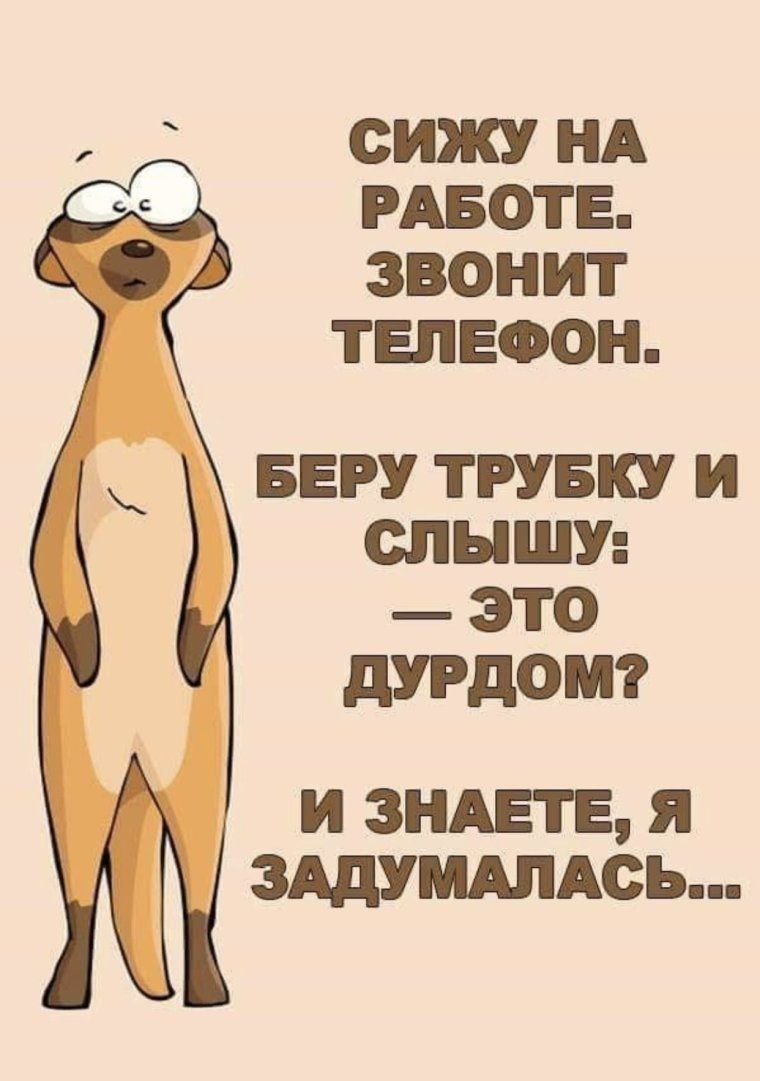 СИЖУ НА РАБОТЕ ЗВОНИТ ТЕЛЕФОН БЕРУ ТРУБКУ И СПНШУ ЭТО дУРдОМ и зндвпг я  зшмдпдсь - выпуск №2114134