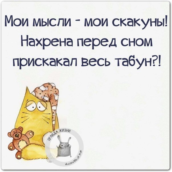 Мои мысли мои скакуны Нахрена перед сном прискакал весь табун