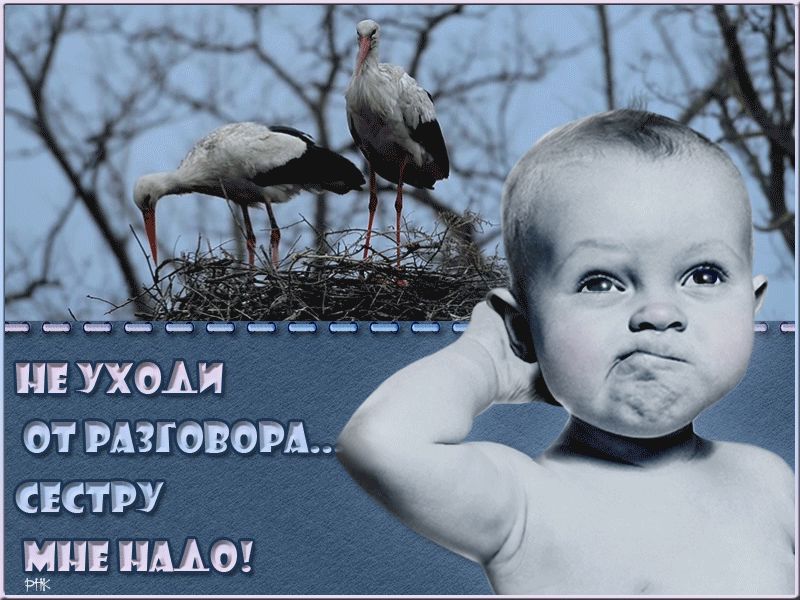 УХОАИ 01 РАЗГОВОРЫ ктру и МО