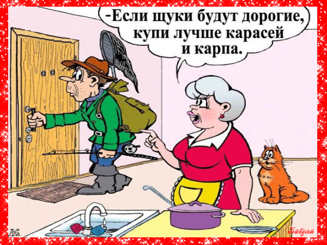 сли щуки будут дорпгие купи лучше карасей