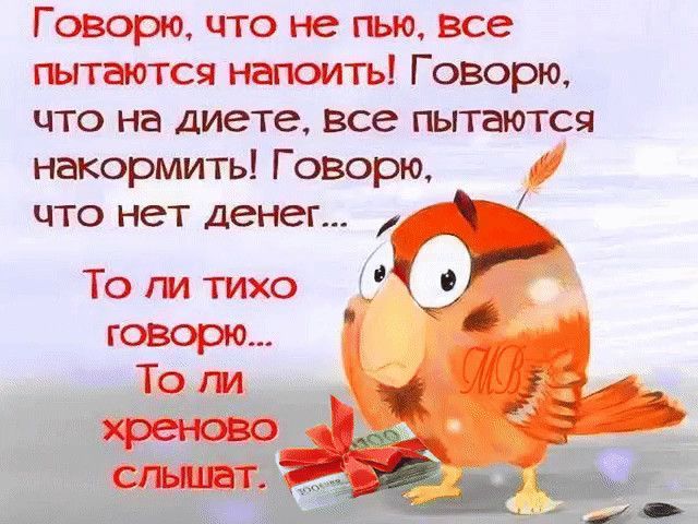 Говорю что не гъю все гытаются напоить Говорю что на диете все пытаются накормить Говорю что нет денег То ги тихо говорю То ги