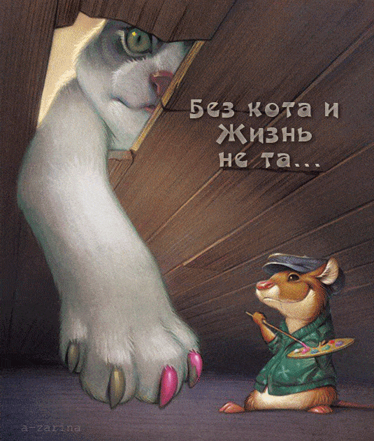 Без кэта и Жизнь