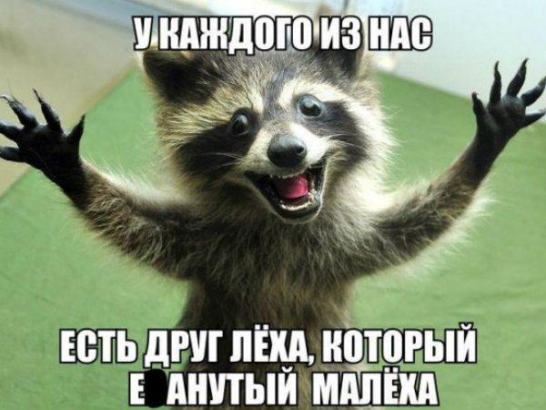 ють дт пнд нрый днпыи мыши