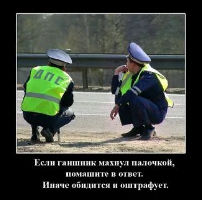 Если гнип пик пиццу имо ской пмши и шин Инн п обил пптрифум