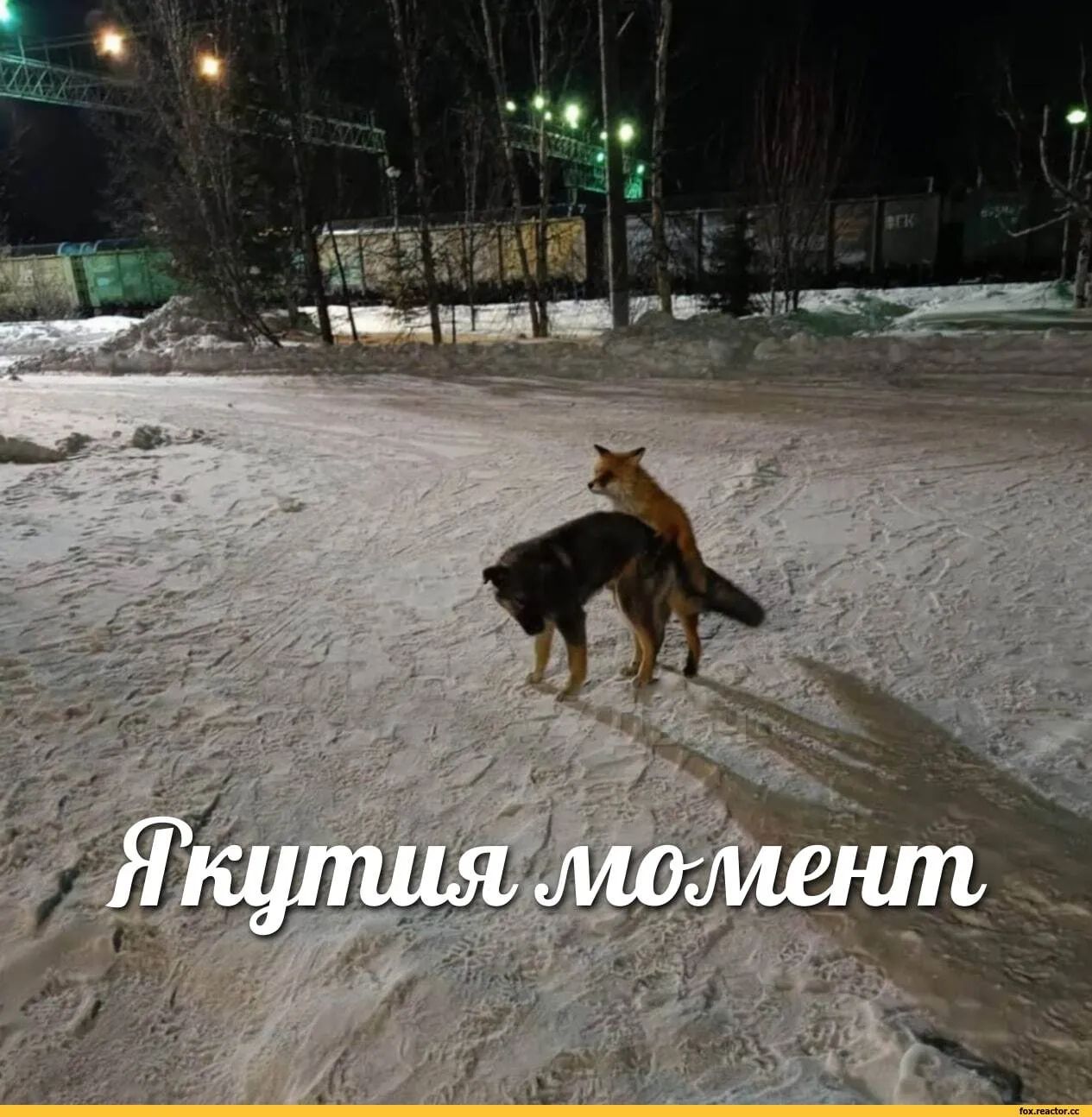 15іиш_ ммм 7