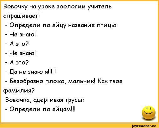 Вопочку на урок зоологии учиипь спрашивает Определи по яйцу название птицы Не анаюі А это Не знаю А это дц знаю я Безобрцзно плохо мальчик Кактвоя фамилия Вовочка сдергивпя трусы Определи по яйцам