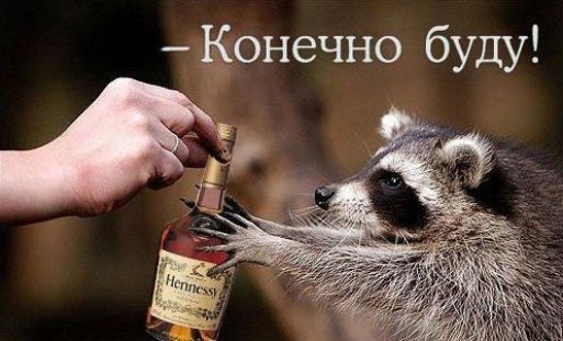 - Конечно буду!