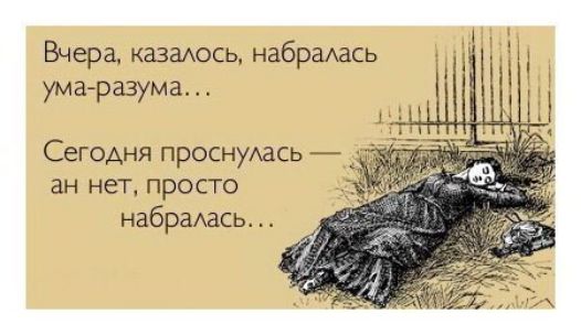 Вчера, казалось, набралась ума-разума...
Сегодня проснулась — ан нет, просто набралась...