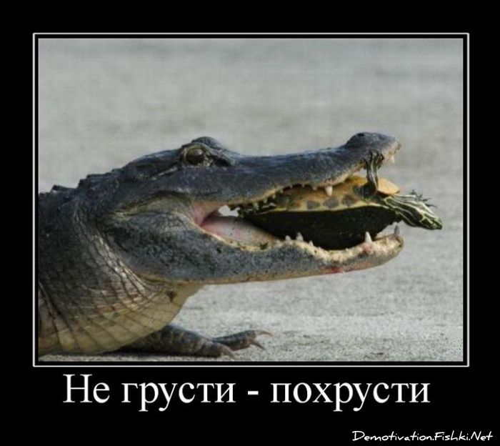 Не грусти - похрусти